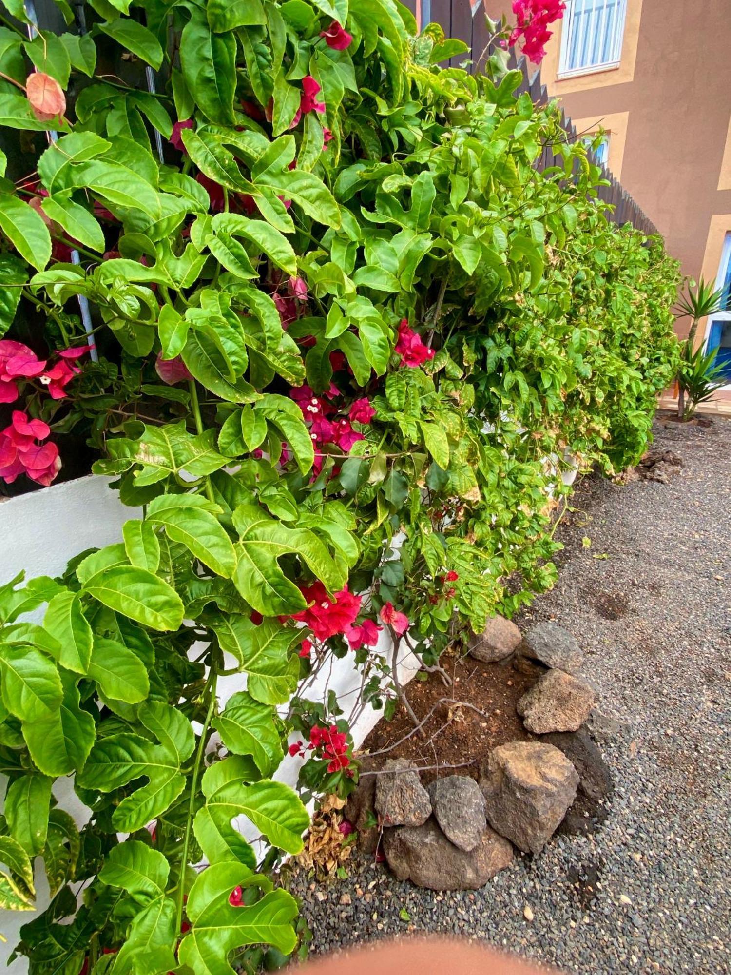 Blue Wave House Corralejo La Oliva Exterior foto